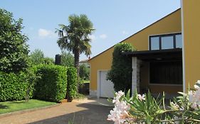 Apartments Zvezdica*** With Garden