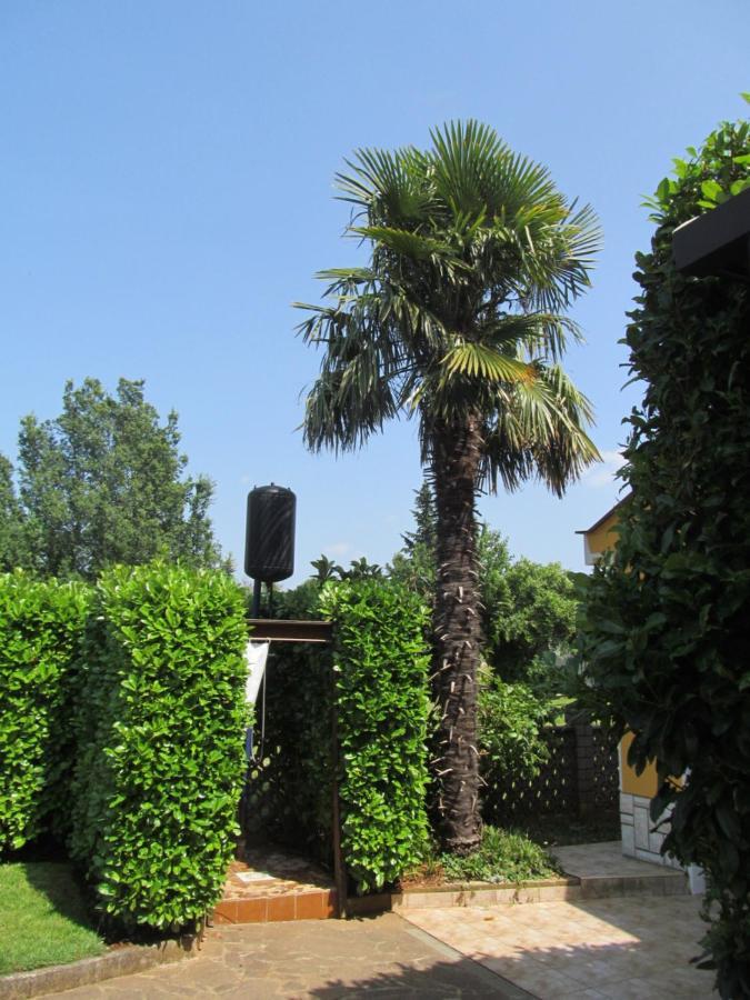 Apartments Zvezdica*** With Garden Zambratija  Exteriér fotografie